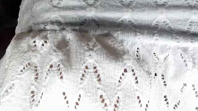 aleera starxx982 online show from 01-11-26, 11:59