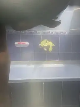 Snapshot of Arabien_Pharaoh- chatting on 02-12-25, 03:18 Arabien Pharaoh- online show from 02-12-25, 03:18