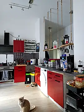 Snapshot of Trucker_Hunter chatting on 03-15-25, 08:04 Trucker Hunter online show from 03-15-25, 08:04