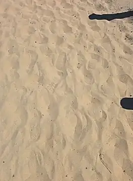 Snapshot of Trucker_Hunter chatting on 09-28-25, 02:22 Trucker Hunter online show from 09-28-25, 02:22