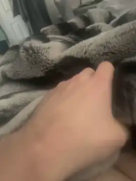 Snapshot of Furdale chatting on 12-04-24, 11:52 Furdale online show from 12-04-24, 11:52