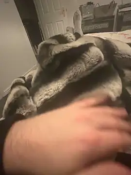 Snapshot of Furdale chatting on 12-07-24, 09:33 Furdale online show from 12-07-24, 09:33