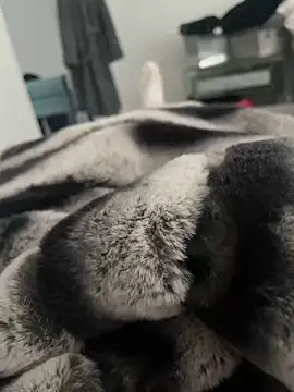 Snapshot of Furdale chatting on 12-18-24, 11:56 Furdale online show from 12-18-24, 11:56