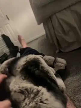 Snapshot of Furdale chatting on 01-06-25, 04:55 Furdale online show from 01-06-25, 04:55