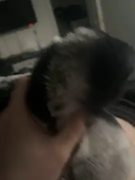 Snapshot of Furdale chatting on 01-14-25, 03:26 Furdale online show from 01-14-25, 03:26