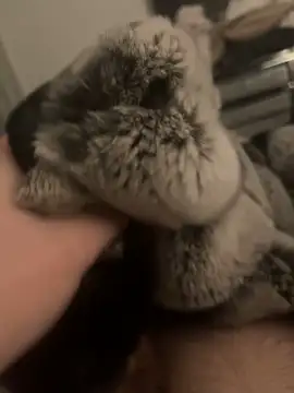 Snapshot of Furdale chatting on 01-24-25, 06:04 Furdale online show from 01-24-25, 06:04