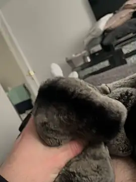 Snapshot of Furdale chatting on 02-10-25, 01:55 Furdale online show from 02-10-25, 01:55