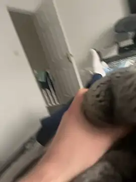 Snapshot of Furdale chatting on 02-15-25, 10:55 Furdale online show from 02-15-25, 10:55