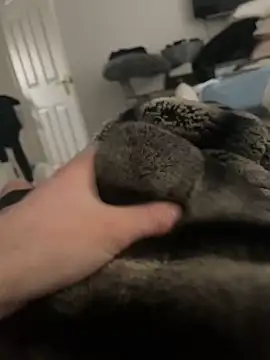 Snapshot of Furdale chatting on 02-16-25, 10:21 Furdale online show from 02-16-25, 10:21