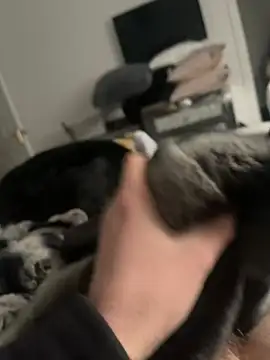 Snapshot of Furdale chatting on 02-16-25, 02:32 Furdale online show from 02-16-25, 02:32