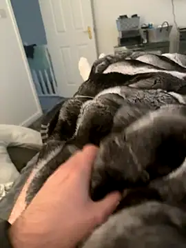 Snapshot of Furdale chatting on 09-10-25, 04:29 Furdale online show from 09-10-25, 04:29