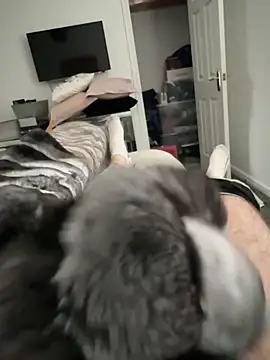 Snapshot of Furdale chatting on 10-17-25, 01:57 Furdale online show from 10-17-25, 01:57