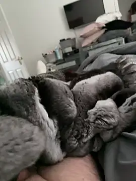 Snapshot of Furdale chatting on 10-30-25, 02:18 Furdale online show from 10-30-25, 02:18