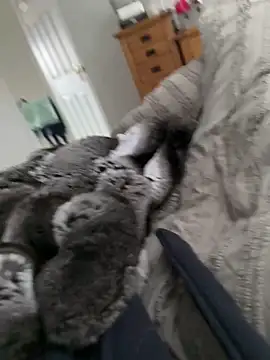 Furdale online show from 03-30-26, 09:54