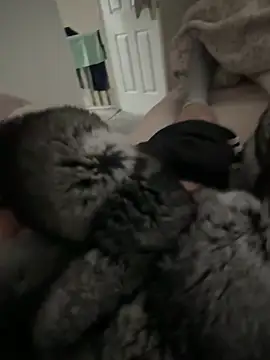 Furdale online show from 04-09-26, 11:04