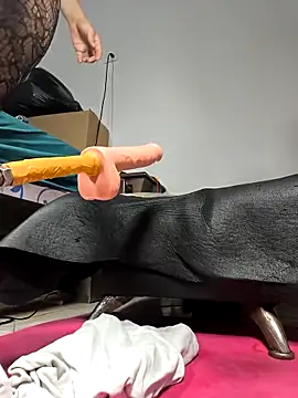 shelby kutter online show from 04-18-26, 07:18