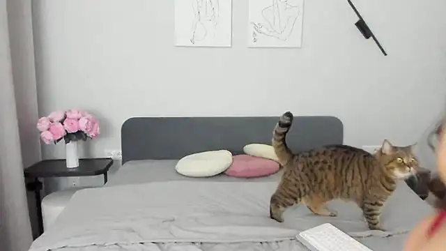 miss emily  online show from 04-19-26, 10:45