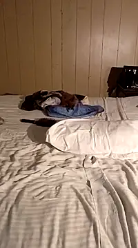 Jasmine FullsShine online show from 03-08-25, 11:18