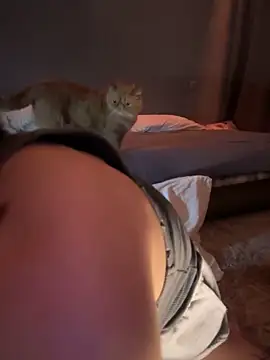 Bastet online show from 01-14-25, 09:51