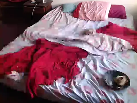 deftoolceles online show from 03-23-26, 06:56