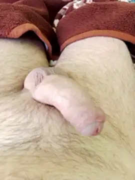 Snapshot of Robertvirt chatting on 03-06-26, 08:22 Robertvirt online show from 03-06-26, 08:22