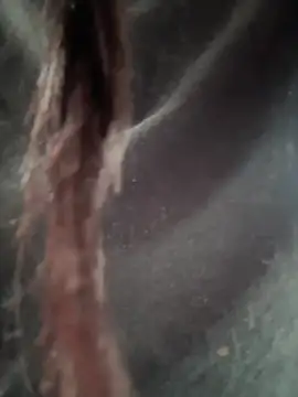   IRIS   online show from 02-14-25, 04:31