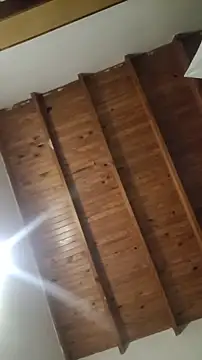 Snapshot of ZaraHoney chatting on 10-28-25, 05:11 ZaraHoney online show from 10-28-25, 05:11