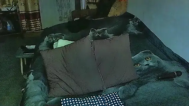 sex2 online show from 09-29-25, 05:40