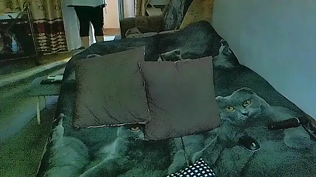 sex2 online show from 11-17-25, 07:36