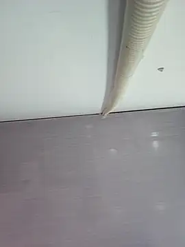 sweet lucia online show from 03-11-26, 09:21