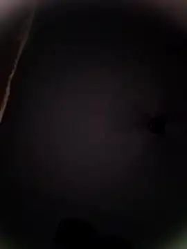 Pitercom online show from 10-19-25, 09:04