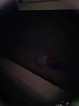 Pitercom online show from 01-09-26, 12:46