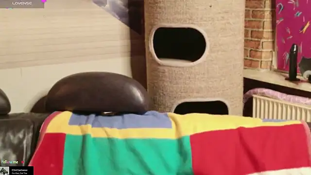 GamerGirl Eve online show from 02-01-26, 06:28