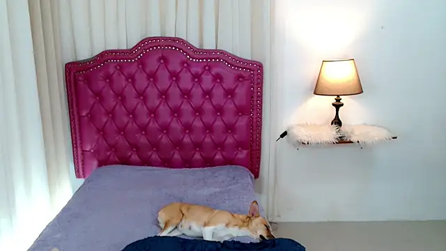 DreamLADYBOY online show from 02-24-26, 01:03