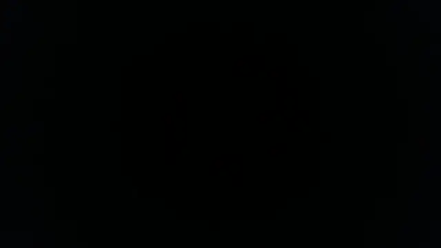 palidin1 online show from 11-26-25, 01:17