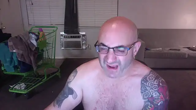 palidin1 online show from 11-26-25, 01:23