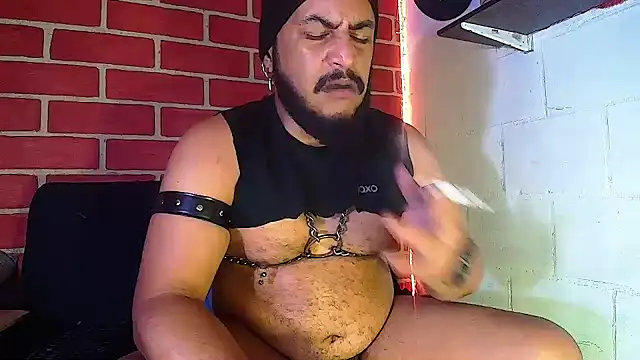 the master foal  online show from 01-12-25, 11:39