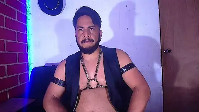 the master foal  online show from 02-08-25, 05:29