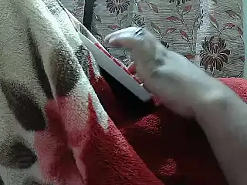 FUN4TIPS online show from 02-25-25, 05:04