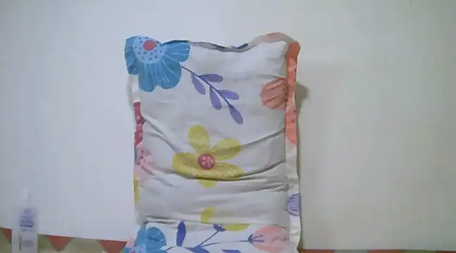 h0ney lips online show from 01-13-25, 06:49