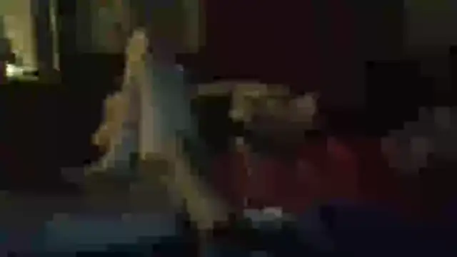 Snapshot of Wyley@xh chatting on 11-11-25, 11:43 Wyleyxh online show from 11-11-25, 11:43