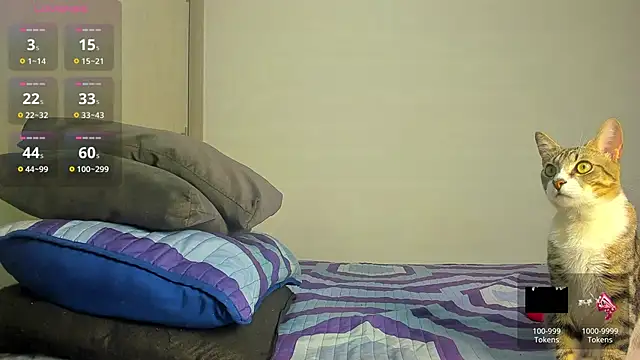 caroline tovar online show from 11-29-25, 01:30