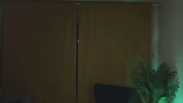 Snapshot of kevin-park chatting on 11-17-25, 06:03 kevin-park online show from 11-17-25, 06:03