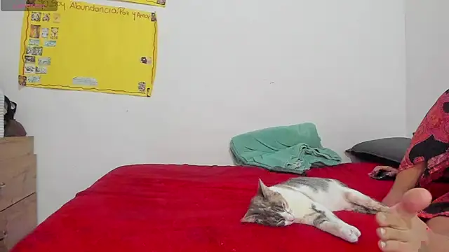 Snapshot of Hela_wet chatting on 11-24-25, 05:34 Hela wet online show from 11-24-25, 05:34