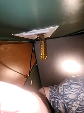 Loosegoose90 online show from 02-27-26, 05:29