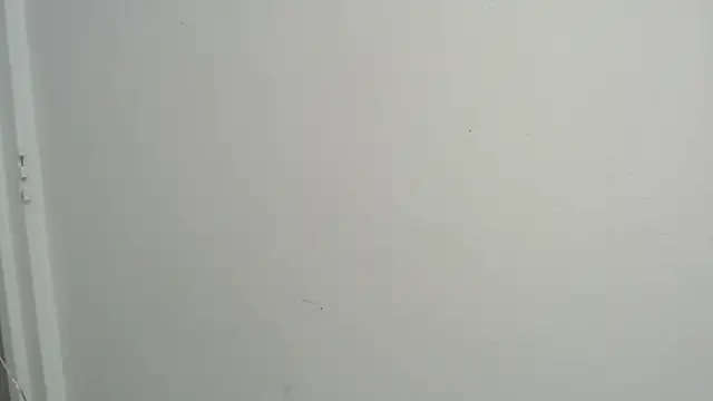 amy le01 online show from 02-18-25, 04:37