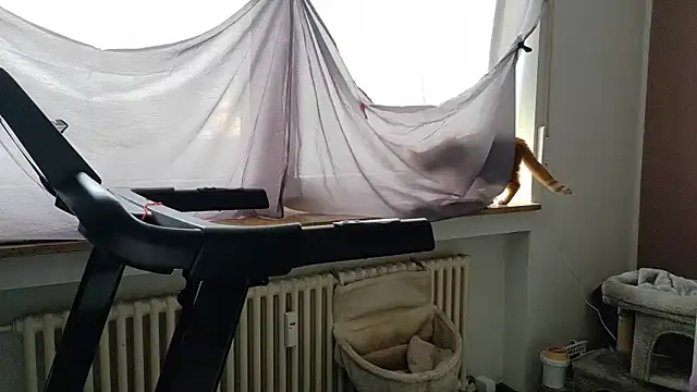 Snapshot of wetgerman_2 chatting on 05-03-26, 02:45 wetgerman 2 online show from 05-03-26, 02:45