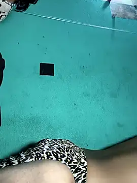 Snapshot of pariraj001 chatting on 02-11-26, 03:50 pariraj001 online show from 02-11-26, 03:50