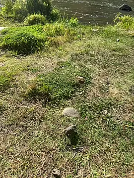 MAHKE12 online show from 09-27-25, 11:15