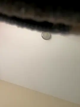 Snapshot of Iced_cloudz chatting on 12-14-25, 03:17 Iced cloudz online show from 12-14-25, 03:17